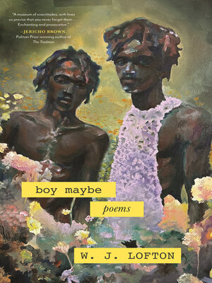 cover image of boy maybe